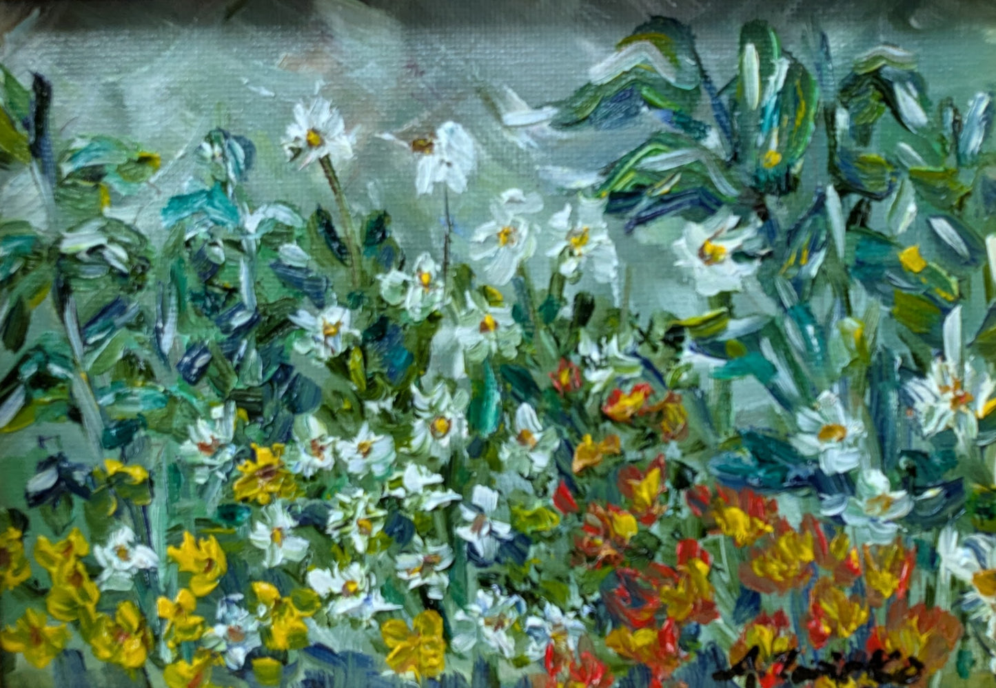 Flower Fields